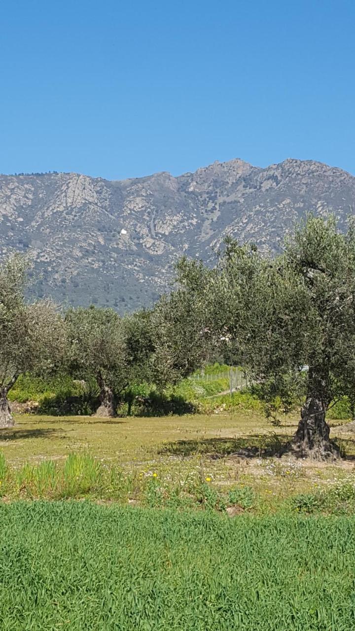 Maison d'hôtes Ca La Sonia à Pau Extérieur photo